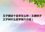 王子健這個(gè)名字怎么樣（王健林子之子叫什么名字簡介介紹）