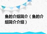 魚的介紹簡(jiǎn)介（魚的介紹簡(jiǎn)介介紹）