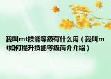 我叫mt技能等級有什么用（我叫mt如何提升技能等級簡介介紹）