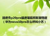 鍗庝負(fù)p20pro鎬庝箞鍛煎彨灝忚壓（華為nova10pro怎么呼叫小藝）