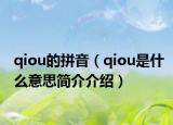 qiou的拼音（qiou是什么意思簡介介紹）