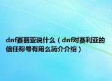 dnf賽麗亞說(shuō)什么（dnf對(duì)賽利亞的信任稱號(hào)有用么簡(jiǎn)介介紹）