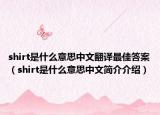 shirt是什么意思中文翻譯最佳答案（shirt是什么意思中文簡介介紹）