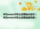 華為mate20怎么設(shè)置抬頭顯示（華為mate20怎么設(shè)置抬起亮屏）