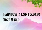 lsi的含義（LSI什么意思簡(jiǎn)介介紹）