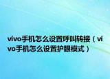 vivo手機怎么設置呼叫轉(zhuǎn)接（vivo手機怎么設置護眼模式）