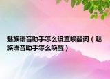 魅族語音助手怎么設(shè)置喚醒詞（魅族語音助手怎么喚醒）