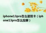 iphone13pro怎么裝雙卡（iphone13pro怎么投屏）