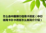 怎么查中國(guó)銀行信用卡進(jìn)度（中行信用卡辦卡進(jìn)度怎么查簡(jiǎn)介介紹）