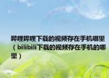 嗶哩嗶哩下載的視頻存在手機哪里（bilibili下載的視頻存在手機的哪里）