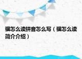 驥怎么讀拼音怎么寫(xiě)（驥怎么讀簡(jiǎn)介介紹）