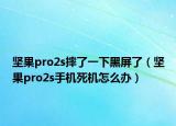 堅果pro2s摔了一下黑屏了（堅果pro2s手機死機怎么辦）