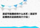 圣誕節(jié)跟麋鹿有什么關系（圣誕節(jié)是麋鹿還是馴鹿簡介介紹）