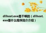 dllhost.exe是干嘛的（dllhost.exe是什么程序簡介介紹）