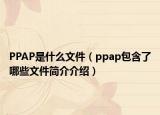 PPAP是什么文件（ppap包含了哪些文件簡介介紹）