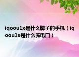 iqoou1x是什么牌子的手機(jī)（iqoou1x是什么充電口）