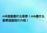 mB流量是什么意思（mb是什么意思流量簡介介紹）