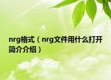 nrg格式（nrg文件用什么打開簡介介紹）