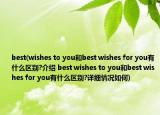 best(wishes to you和best wishes for you有什么區(qū)別?介紹 best wishes to you和best wishes for you有什么區(qū)別?詳細(xì)情況如何)