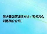 警犬是如何訓(xùn)練方法（警犬怎么訓(xùn)練簡(jiǎn)介介紹）