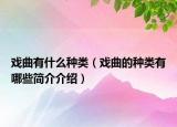 戲曲有什么種類（戲曲的種類有哪些簡(jiǎn)介介紹）