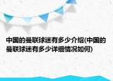 中國的曼聯(lián)球迷有多少介紹(中國的曼聯(lián)球迷有多少詳細情況如何)