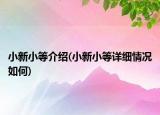 小新小等介紹(小新小等詳細情況如何)