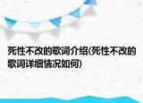 死性不改的歌詞介紹(死性不改的歌詞詳細(xì)情況如何)