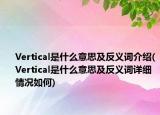 Vertical是什么意思及反義詞介紹(Vertical是什么意思及反義詞詳細(xì)情況如何)