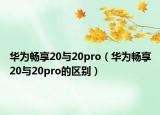 華為暢享20與20pro（華為暢享20與20pro的區(qū)別）