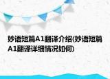 妙語(yǔ)短篇A1翻譯介紹(妙語(yǔ)短篇A1翻譯詳細(xì)情況如何)