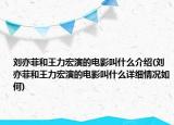 劉亦菲和王力宏演的電影叫什么介紹(劉亦菲和王力宏演的電影叫什么詳細(xì)情況如何)