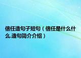 信任造句子短句（信任是什么什么.造句簡(jiǎn)介介紹）