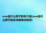 wve是什么牌子的車介紹(wve是什么牌子的車詳細(xì)情況如何)