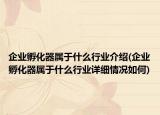 企業(yè)孵化器屬于什么行業(yè)介紹(企業(yè)孵化器屬于什么行業(yè)詳細情況如何)