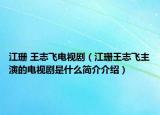 江珊 王志飛電視?。ń和踔撅w主演的電視劇是什么簡介介紹）