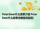 Polar(bear什么意思介紹 Polar bear什么意思詳細(xì)情況如何)