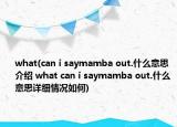 what(can i saymamba out.什么意思介紹 what can i saymamba out.什么意思詳細情況如何)