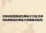 怎樣訓練狗狗成為導盲犬介紹(怎樣訓練狗狗成為導盲犬詳細情況如何)