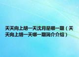 天天向上胡一天沈月是哪一期（天天向上胡一天哪一期簡介介紹）