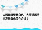 大熊貓哪里是白色（大熊貓哪些地方是白色簡(jiǎn)介介紹）