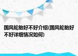 國(guó)風(fēng)輪胎好不好介紹(國(guó)風(fēng)輪胎好不好詳細(xì)情況如何)