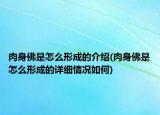 肉身佛是怎么形成的介紹(肉身佛是怎么形成的詳細(xì)情況如何)