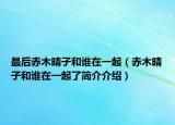 最后赤木晴子和誰在一起（赤木晴子和誰在一起了簡介介紹）