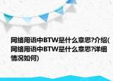 網(wǎng)絡用語中BTW是什么意思?介紹(網(wǎng)絡用語中BTW是什么意思?詳細情況如何)