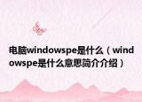 電腦windowspe是什么（windowspe是什么意思簡介介紹）