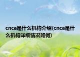 cnca是什么機構(gòu)介紹(cnca是什么機構(gòu)詳細情況如何)