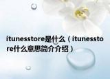 itunesstore是什么（itunesstore什么意思簡介介紹）