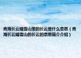 青海長云暗雪山里的長云是什么意思（青海長云暗雪山的長云的意思簡介介紹）