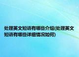 處理英文短語(yǔ)有哪些介紹(處理英文短語(yǔ)有哪些詳細(xì)情況如何)